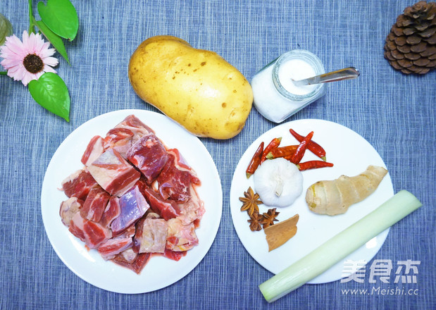 九阳炒菜机#迟rowrow私房菜谱：土豆焖牛肉的做法